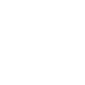 Q-line-icon-wt